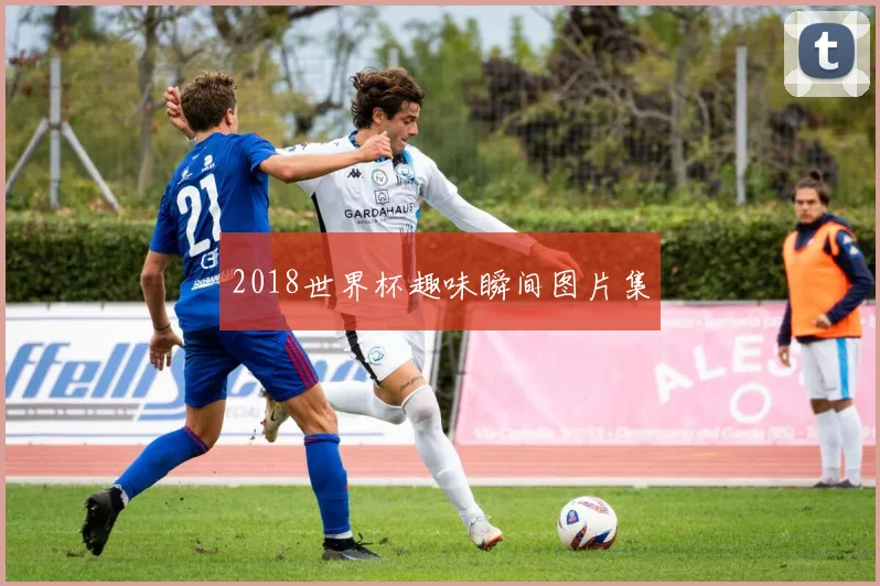 2018世界杯趣味瞬间图片集